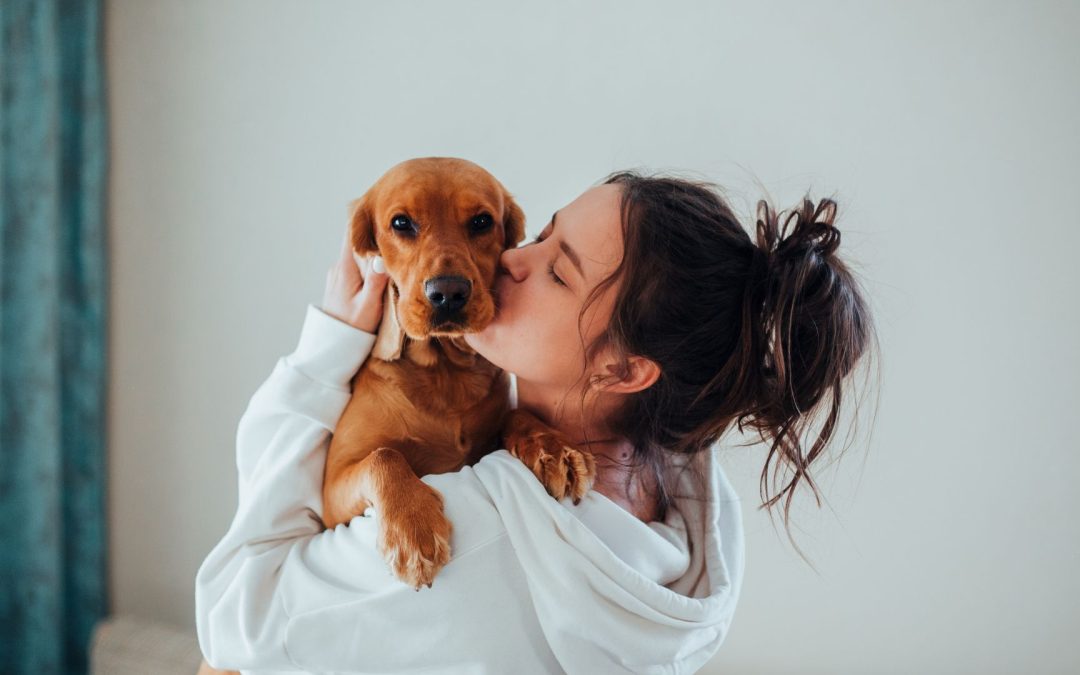 Make Money As A Pet Influencer With UNDER 5000 Followers!