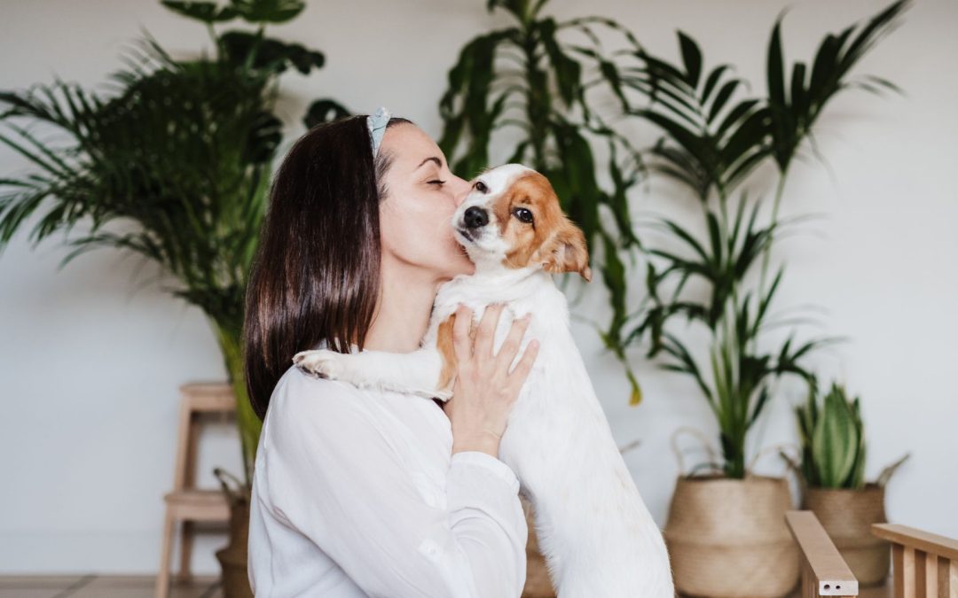 The Secret Sauce to Converting Views into Followers on Instagram