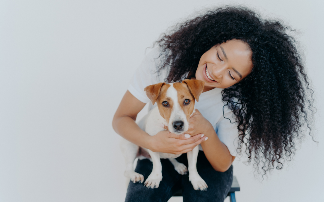 Do Pet Accounts on Instagram Make Money? – What Big Creators WON’T Tell You