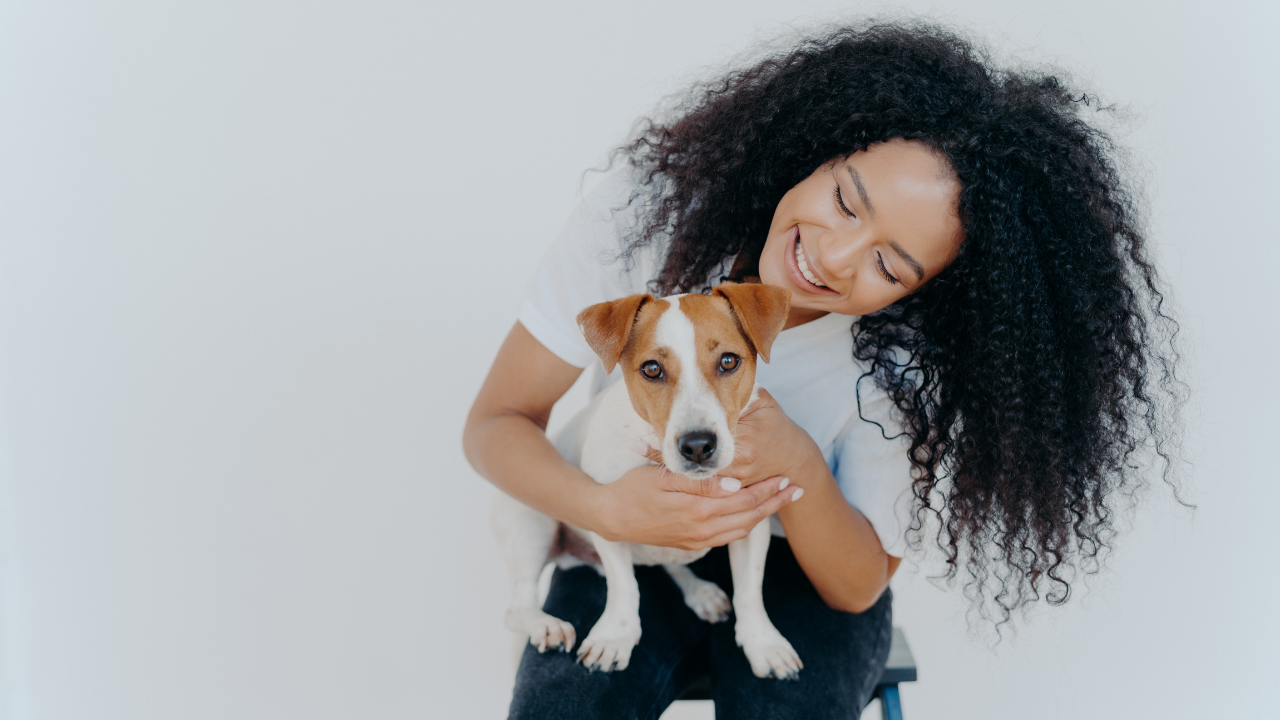 Do Pet Accounts on Instagram Make Money? – What Big Creators WON’T Tell You