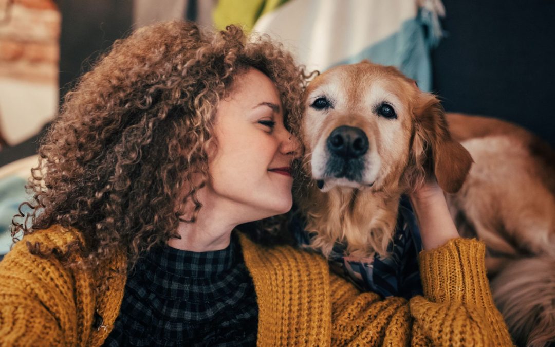 The Best Personality Types for Being a Pet Content Creator