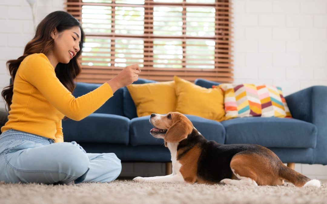 Pet Creator Reveals EASY Way to FINALLY Earn 6 Figures, Skyrocket Subscribers, and Land BIG Paid Deals