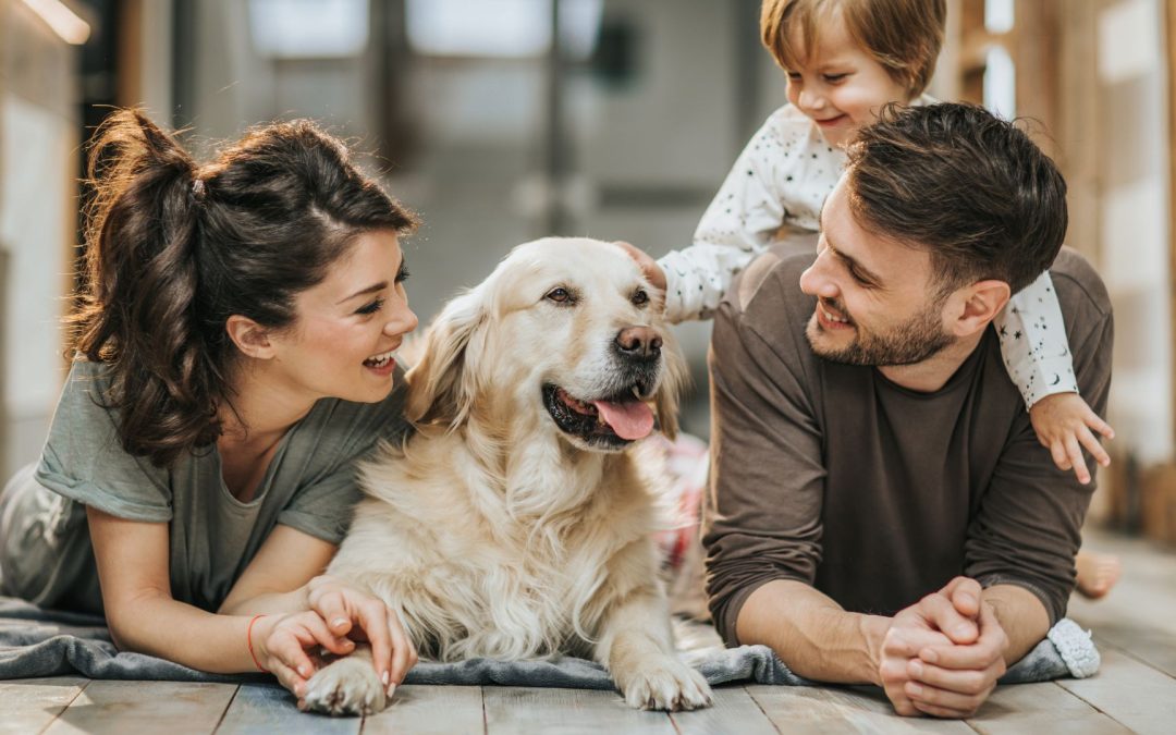 How Much Do Pet Influencers Really Make? (Income Breakdown by Platform)