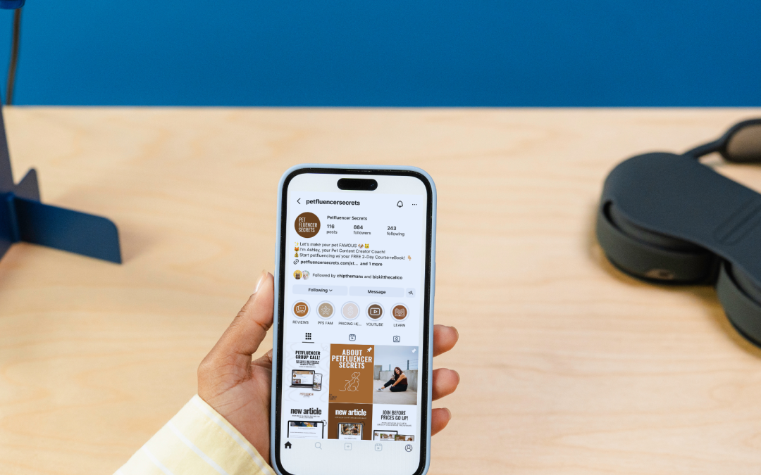 How to Make a Media Kit in Canva (One That ACTUALLY Gets You Brand Deals)