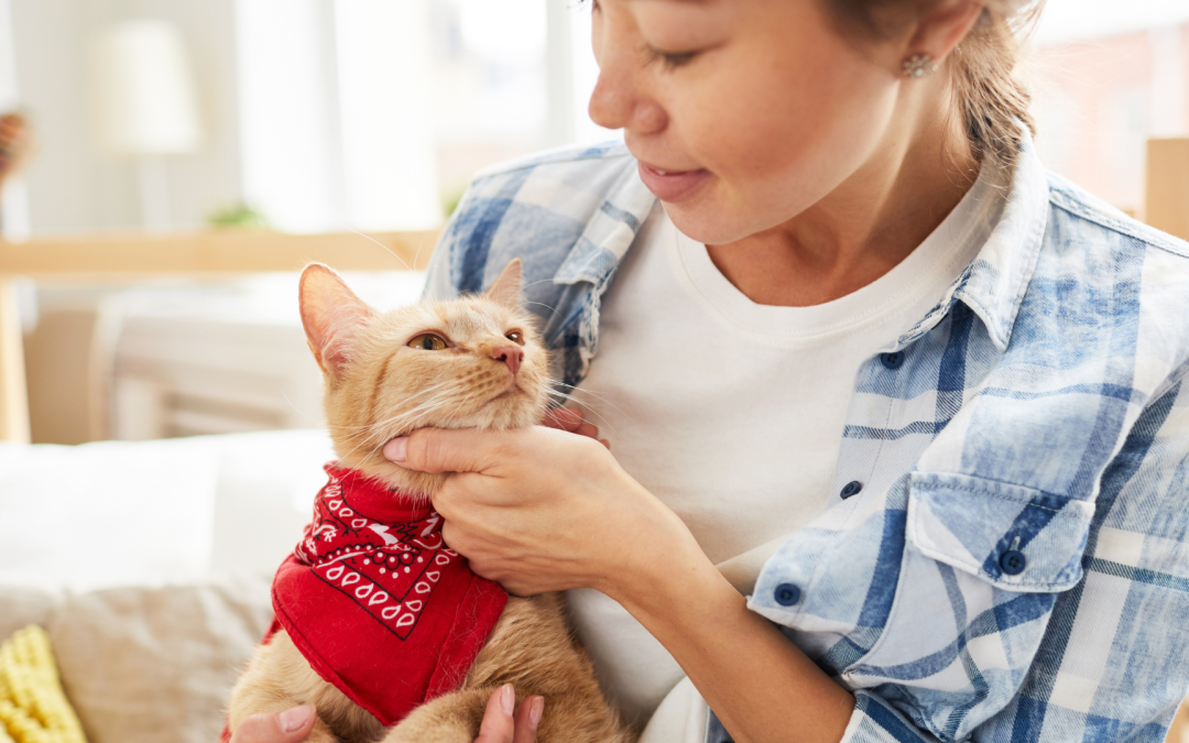 How Much Do Pet Influencers Make?