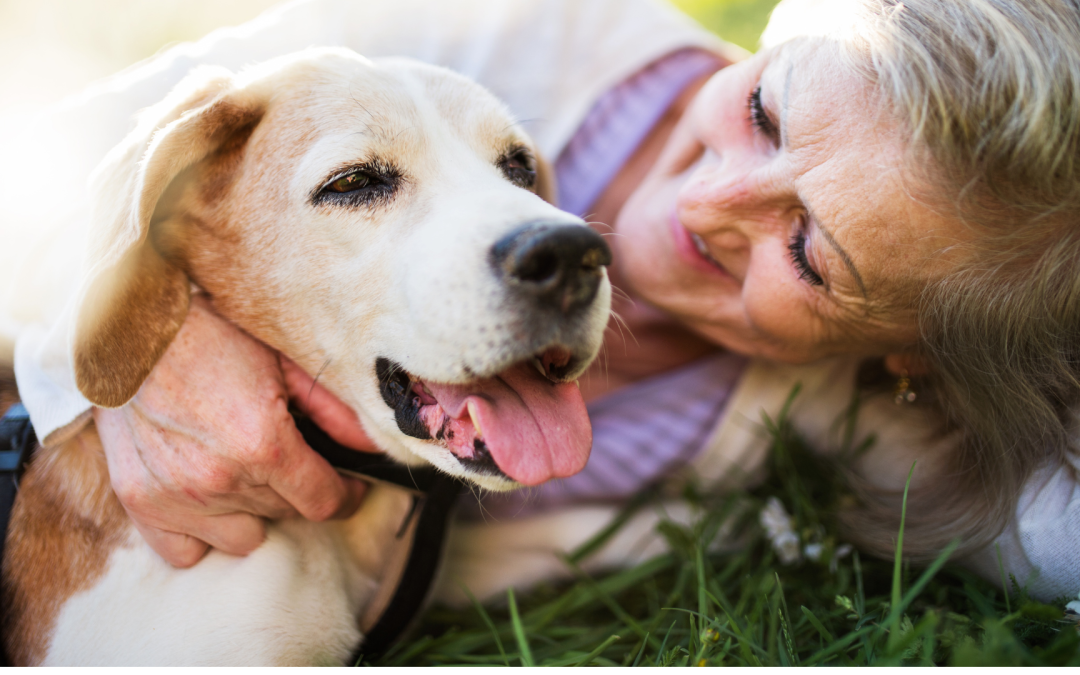 How Pets Make Money on YouTube (and How YOURS Can Too!)