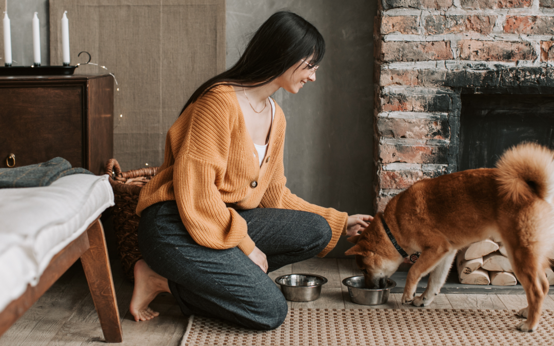 Make Your Pet FAMOUS in 3 Steps (UPDATED for 2026!)