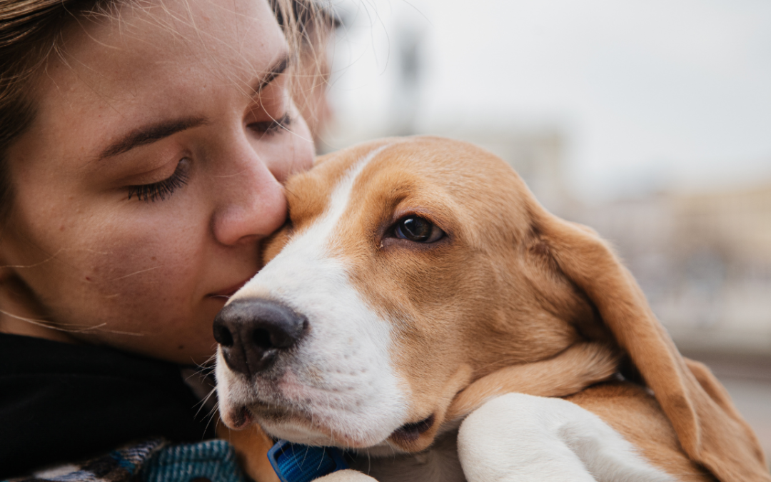 How Much It Costs to Be a Pet Influencer (+ Hidden Costs No One Tells You!)