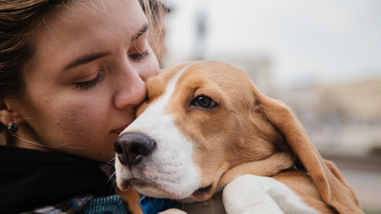 How Much It Costs to Be a Pet Influencer (+ Hidden Costs No One Tells You!)