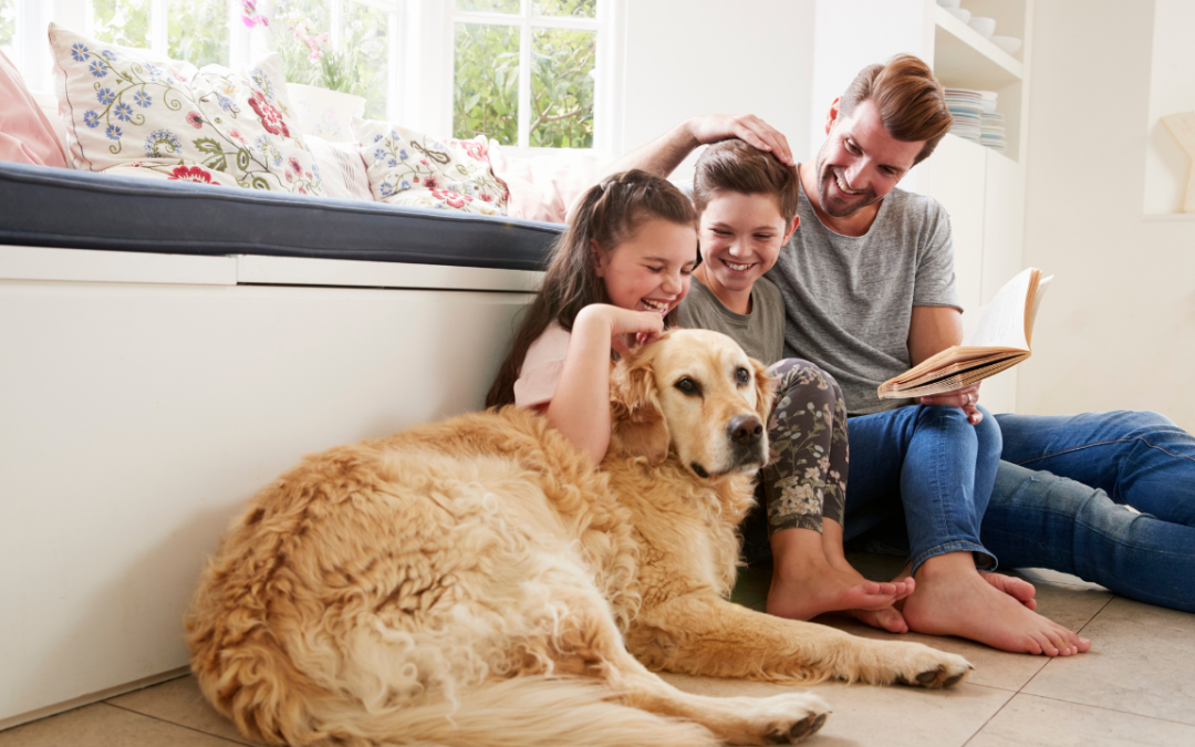How To Do Storytelling As a Pet Influencer
