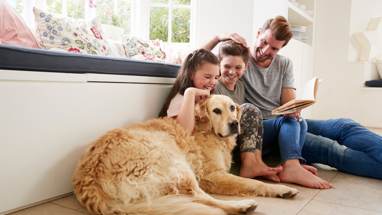 How To Do Storytelling As a Pet Influencer